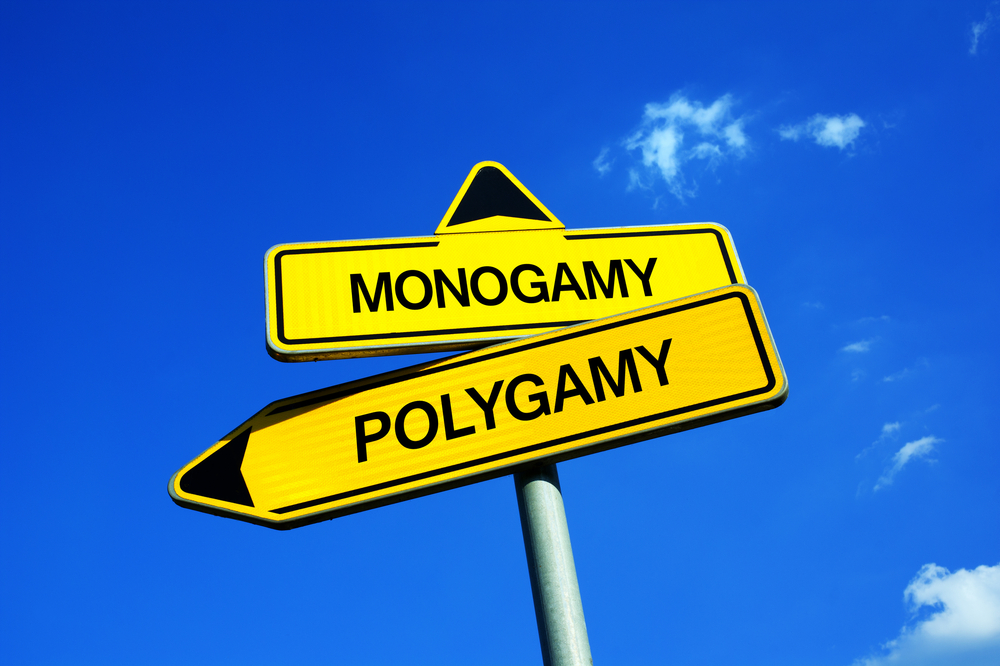 Vyberete si monogamní nebo nemonogamní vzťah?